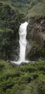 Majestic waterfall amidst lush green forest.