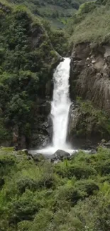 Water Water Resources Waterfall Live Wallpaper