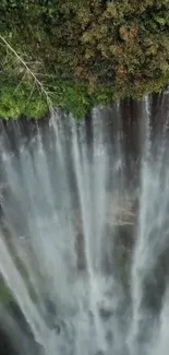 Water Waterfall Plant Live Wallpaper