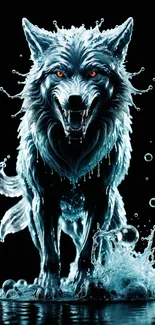 Dynamic water wolf with vivid eyes on a black background.