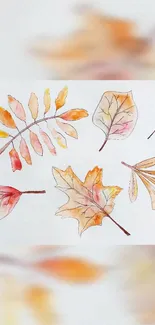 Watercolor autumn leaves wallpaper design with soft orange hues.