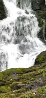 Cascading waterfall over mossy rocks, lush and serene.