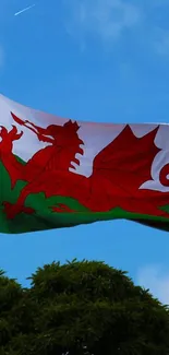 Welsh flag with red dragon flying against a blue sky.