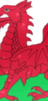 Vibrant red Welsh dragon on white background wallpaper.