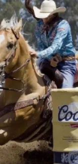 Cowboy riding a horse in a rodeo event, showcasing western spirit.