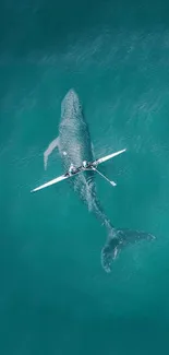 A massive whale swimming gently beneath a rowing boat in teal ocean waters.