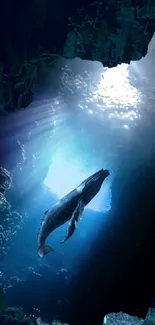 A majestic whale swims in a luminous ocean cave.