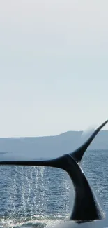 Whale tail emerging from ocean water with a light blue sky background.