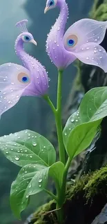 Two bird-shaped flowers in a forest setting.