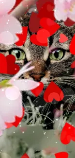 Cat with red hearts and pink flowers wallpaper.