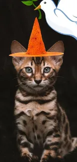 Bengal kitten with a witch hat and dove on a black background.