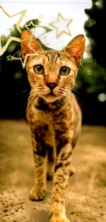 Cat walking under golden stars on a nature-inspired background.