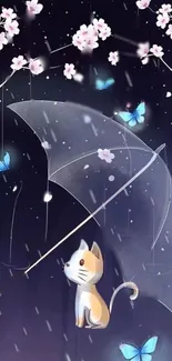 Cute cat under an umbrella with cherry blossoms and butterflies in the rain.