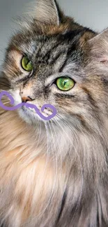 Fluffy cat with green eyes and purple moustache.