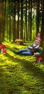 Gnome reclining in a vibrant forest with sunlight and toadstools.