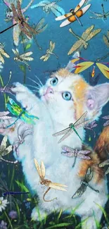 Adorable kitten and colorful dragonflies with a floral background.