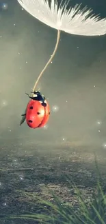 Ladybug on dandelion seed in misty setting wallpaper.