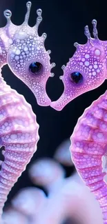 Two whimsical pink seahorses face each other in an artistic underwater scene.