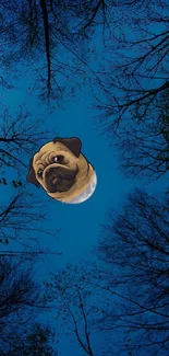 Pug-shaped moon in blue night sky with tree silhouettes.