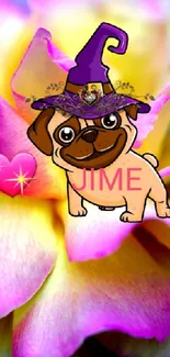 Whimsical pug in witch hat on vibrant rose background wallpaper.