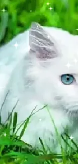 White cat with blue eyes lying in vibrant green grass.