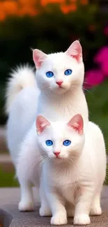 Two white cats with blue eyes in a lush garden, displaying serenity and charm.