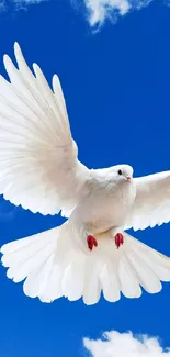 White dove flying against a blue sky with clouds.