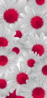 Mobile wallpaper of white flowers with red centers.