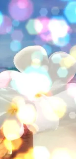 White frangipani flowers with a tropical beach in the background.