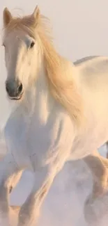 A majestic white horse galloping through a snowy field under soft lighting.