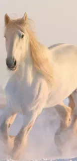 Majestic white horse galloping in the snow, creating a serene winter scene.