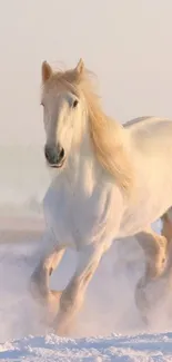 White horse gallops through snowy landscape, serene and majestic.