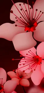 White Light Flower Live Wallpaper