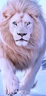 White Lion Walking In The Snow Live Wallpaper