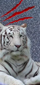 White tiger on a glittery backdrop with claw mark design.