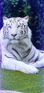 White tiger laying on green grass with leafy background.