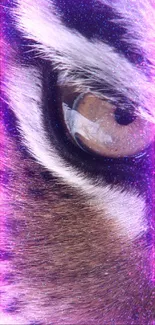 Close-up of a tiger's eye with cosmic purple accents in vibrant detail.