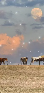 Wild horses grazing under a moonlit sunset.