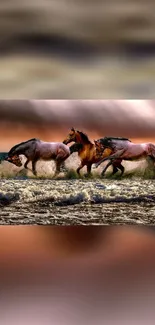 Wild horses running at beach sunset.