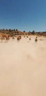 Wild horses running through a dusty landscape under a bright blue sky.