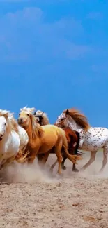 Wild horses running with vivid blue sky background.