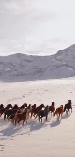 Wild horses running through snowy mountains with a clear sky.