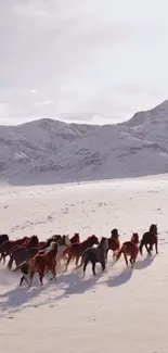 Wild horses running through snowy mountain landscape.