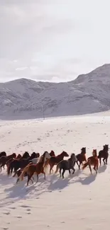 Herd of wild horses galloping across a snowy landscape.