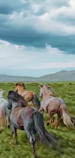 Horses running across green fields under a cloudy sky.