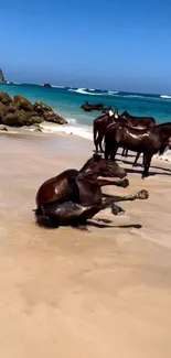 Wild horses on a serene beach with blue ocean waves.