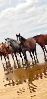 Wild horses standing on a reflective sandy beach.