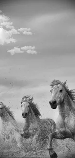 Grayscale wallpaper of wild horses running through water, exuding elegance and energy.