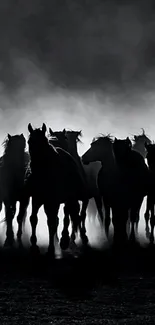 Majestic silhouette of galloping horses in black and white.