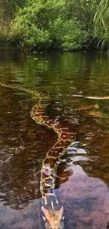 Serpent gliding quietly through green forest waters, creating a picturesque scene.